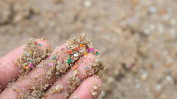 Bozburun Alarm Veriyor: Mikroplastik Yoğunluğu Rekor Seviyede