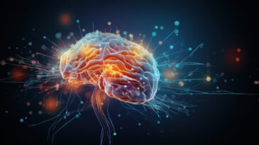 Bu Basit Alışkanlıklar Beyninizi 8 Yıl Gen&ccedil;leştirebilir