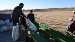 Buğdayda B&uuml;y&uuml;k Endişe