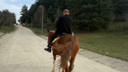B&uuml;y&uuml;k Panik: Bindiği Atın Kontrol&uuml;nden &Ccedil;ıktı