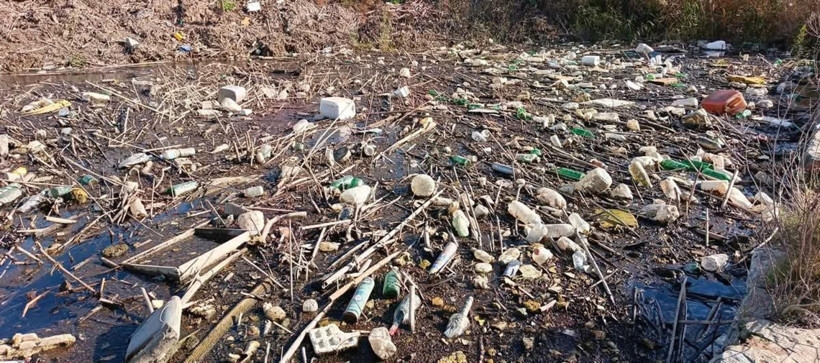 Büyük Menderes Nehri Kirliliği