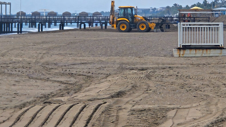 Caretta Caretta Yuvaları İş Makineleriyle Yok Ediliyor