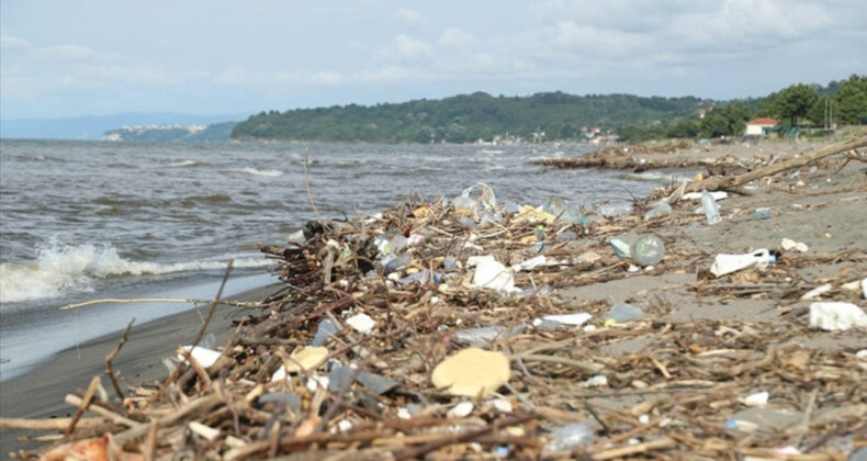 Çevre Koruma İçin 441 Milyar TL Harcandı