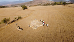 &Ccedil;oban Krizi Yaklaşıyor: 10 Yıl Sonra Bulmakta Zorlanacağız