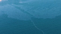 Cemil Tugay'dan K&ouml;rfez Kirliliğine Tepki