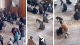 Cuma Vaazı Sırasında Camiye Pitbull Girişi