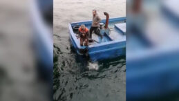 Denize D&uuml;şen K&ouml;peği Balık&ccedil;ılar Kurtardı