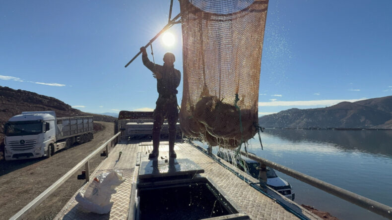 Denizi Olmayan İlden Avrupa ve Uzak Doğu'ya Somon İhracatı