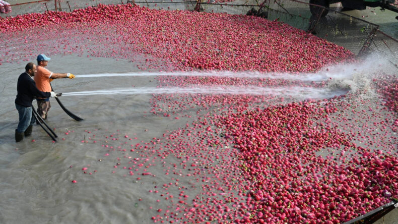 Dereye girmeden tezgahta yer almıyor