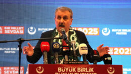 Destici: Su&ccedil;ta caydırıcılığı yok ediyorsa bu d&uuml;zenlemelerin faydası değil zararı vardır