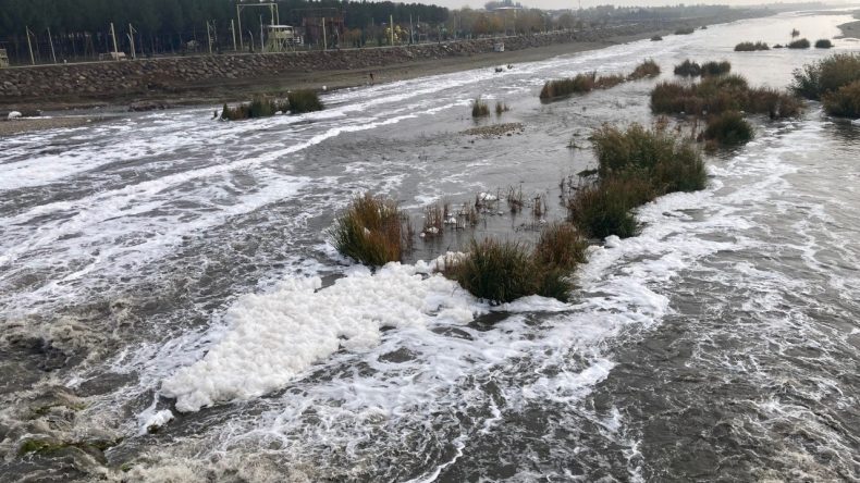 Dicle Nehri'nde K&ouml;p&uuml;klenme Sorunu: Acil &Ouml;nlem Almalıyız