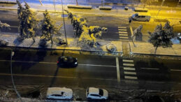 Diyarbakır'da Don ve Buzlanma: T&uuml;m U&ccedil;uşlar İptal Edildi