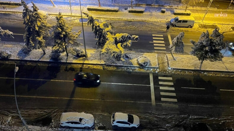 Diyarbakır'da Don ve Buzlanma: T&uuml;m U&ccedil;uşlar İptal Edildi