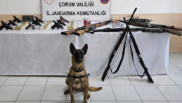 D&uuml;ğ&uuml;n Magandalarına Y&ouml;nelik Operasyon: 11 G&ouml;zaltı