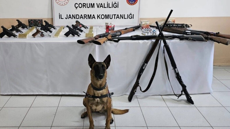 D&uuml;ğ&uuml;n Magandalarına Y&ouml;nelik Operasyon: 11 G&ouml;zaltı