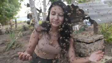 D&uuml;nyada Bir İlk: Hakları Tanınan İlk B&ouml;cek T&uuml;r&uuml; Oldu