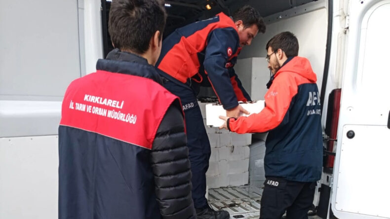 El Konulan Tonlarca Balık Vatandaşa Dağıtıldı