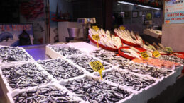 En Fazla Satılan Balık T&uuml;rleri A&ccedil;ıklandı