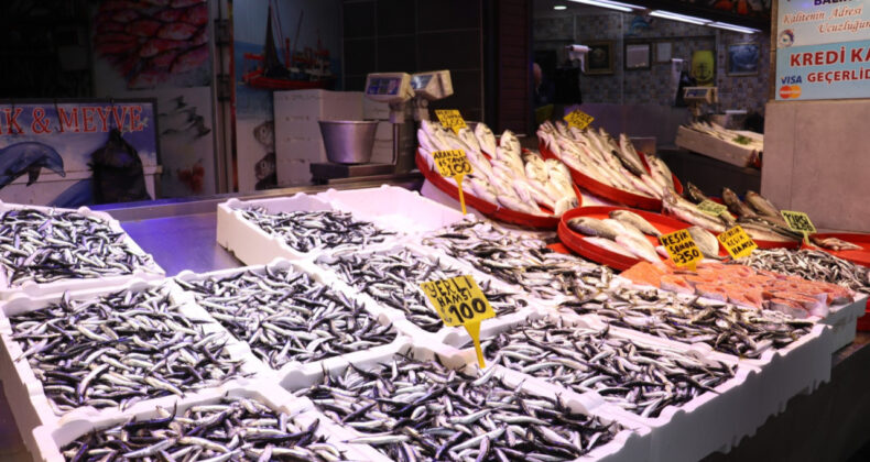 En Fazla Satılan Balık Türleri Açıklandı