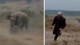 Fil S&uuml;r&uuml;s&uuml;n&uuml;n K&ouml;ylere Saldırısı: 4 Kişi Hayatını Kaybetti