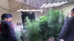 Firari Su&ccedil;lu Kenevir Serasına D&ouml;n&uuml;şt&uuml;rd&uuml;ğ&uuml; Evde Yakalandı