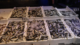 Fırtına Balık Tezgahlarını Vurdu