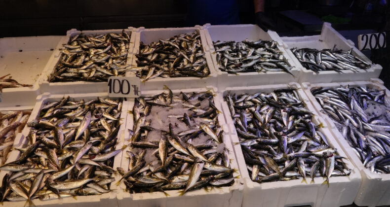 Fırtına Balık Tezgahlarını Vurdu