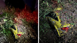 Fırtınanın ortasında kaldı! Ağa&ccedil; seyir halindeki taksinin &uuml;zerine devrildi