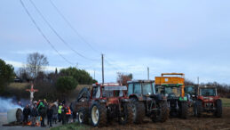 Fransa'da İtlaf Kararı, &Ccedil;ift&ccedil;ileri Eyleme Ge&ccedil;irdi