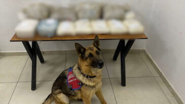 Hakkari'de 23 Kilo 650 Gram Uyuşturucu Yakalandı