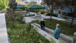 Huzurevinde Eldivenle D&ouml;v&uuml;len Yaşlıya Para Cezası Verildi