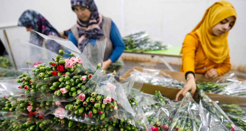İhracatı Yasak Olan &Ccedil;i&ccedil;ekler Belirlendi