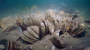 İnanması G&uuml;&ccedil; Ama Ger&ccedil;ek: Bu Kaseler 900 Yıllık