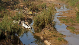 İspanya'yı Sel Vurdu