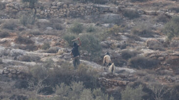 İsrail, Bir Haftada 7 Milyon Dolar Hasar Yarattı