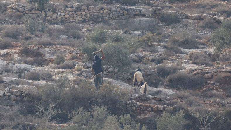 İsrail, Bir Haftada 7 Milyon Dolar Hasar Yarattı