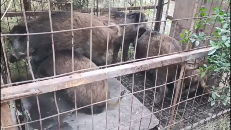 İstanbul'da Bulundu: 'Ka&ccedil;aklar' Aranıyor