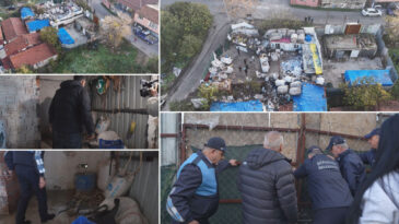 İstanbul'da At Kesimi Yapılan Depoya Operasyon! Şok Edici İtiraf