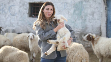 İstanbul'dan k&ouml;y&uuml;ne d&ouml;nd&uuml;, 3 yılda s&uuml;r&uuml;s&uuml;n&uuml; 4'e katladı
