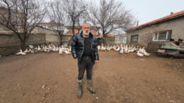 İstanbul'dan Memleketine D&ouml;n&uuml;ş: Binlerce Hayvan Sahibinin Hikayesi