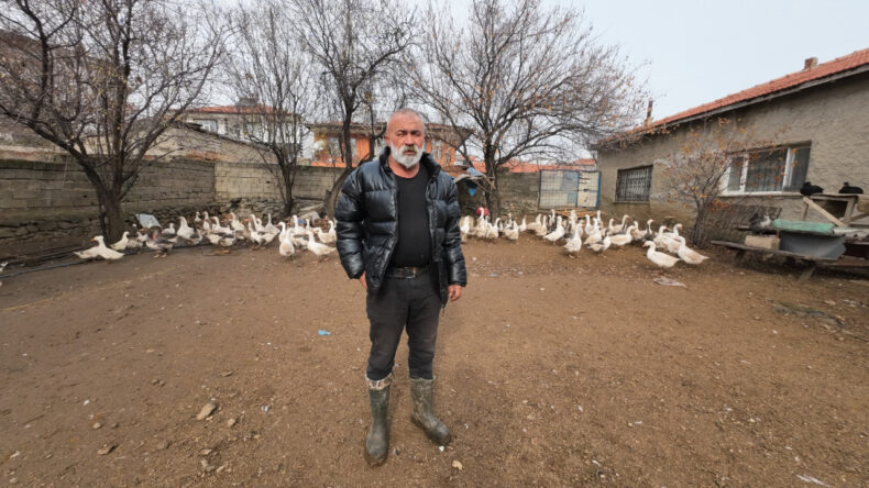 İstanbul'dan Memleketine D&ouml;n&uuml;ş: Binlerce Hayvan Sahibinin Hikayesi