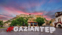 Japonya'dan Gaziantep İ&ccedil;in &Ouml;nemli Karar