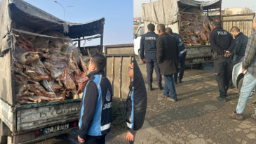 Kamyonet Kasasında Kilolarca Bozuk Et Ele Ge&ccedil;irildi