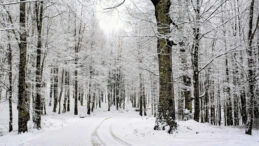 Kar Kalınlığı 15 Santime Ulaştı, Yaylalar Beyaza B&uuml;r&uuml;nd&uuml;