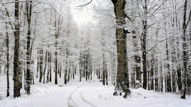 Kar Kalınlığı 15 Santime Ulaştı, Yaylalar Beyaza Büründü