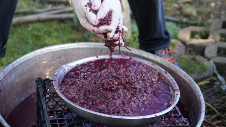 Karadeniz'in Kokulu Kara &Uuml;z&uuml;m&uuml; Kanserle M&uuml;cadelede Umut Oluyor