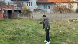 Kedi Katliamı: İşkence ile &Ouml;ld&uuml;r&uuml;ld&uuml;ler