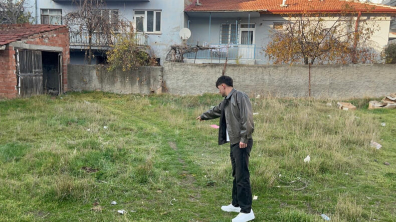 Kedi Katliamı: İşkence ile &Ouml;ld&uuml;r&uuml;ld&uuml;ler