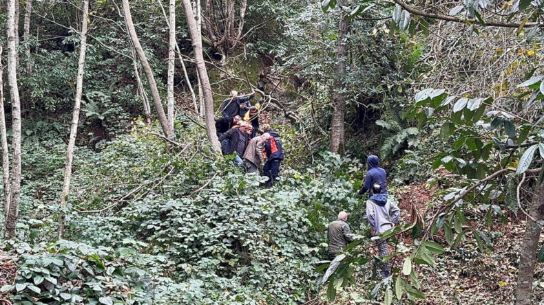 Kesiği Ağacın Altında Kaldı