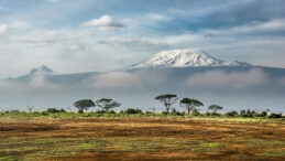 Kilimanjaro Dağı&rsquo;nda Helikopter Kazası: 5 Kişi Hayatını Kaybetti